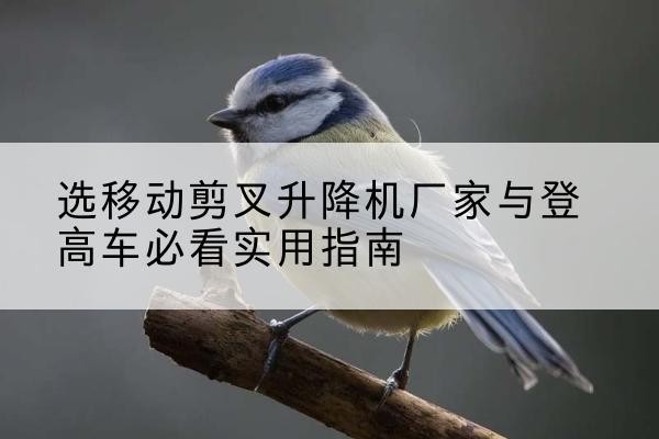 丰县电动升降机厂家-选移动剪叉升降机厂家与登高车必看实用指南