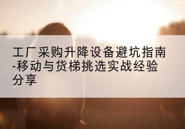 丰县移动式升降机怎么选-工厂采购升降设备避坑指南-移动与货梯挑选实战经验分享