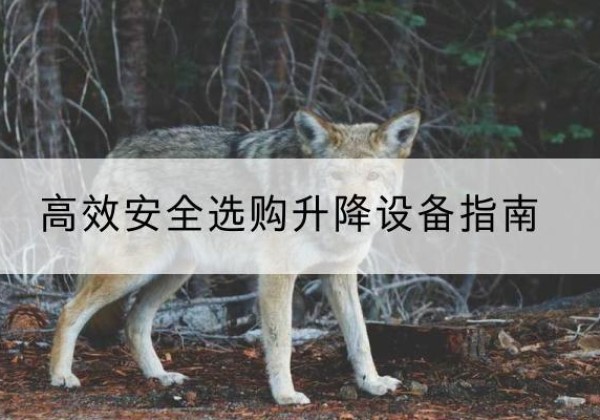 丰县升降货梯厂家推荐-*安全选购升降设备指南