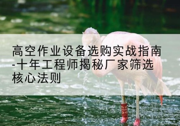 丰县剪叉式升降机厂家-高空作业设备选购实战指南-十年工程师揭秘厂家筛选核心法则